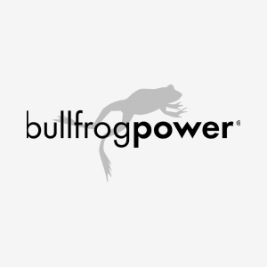 BullfrogPower